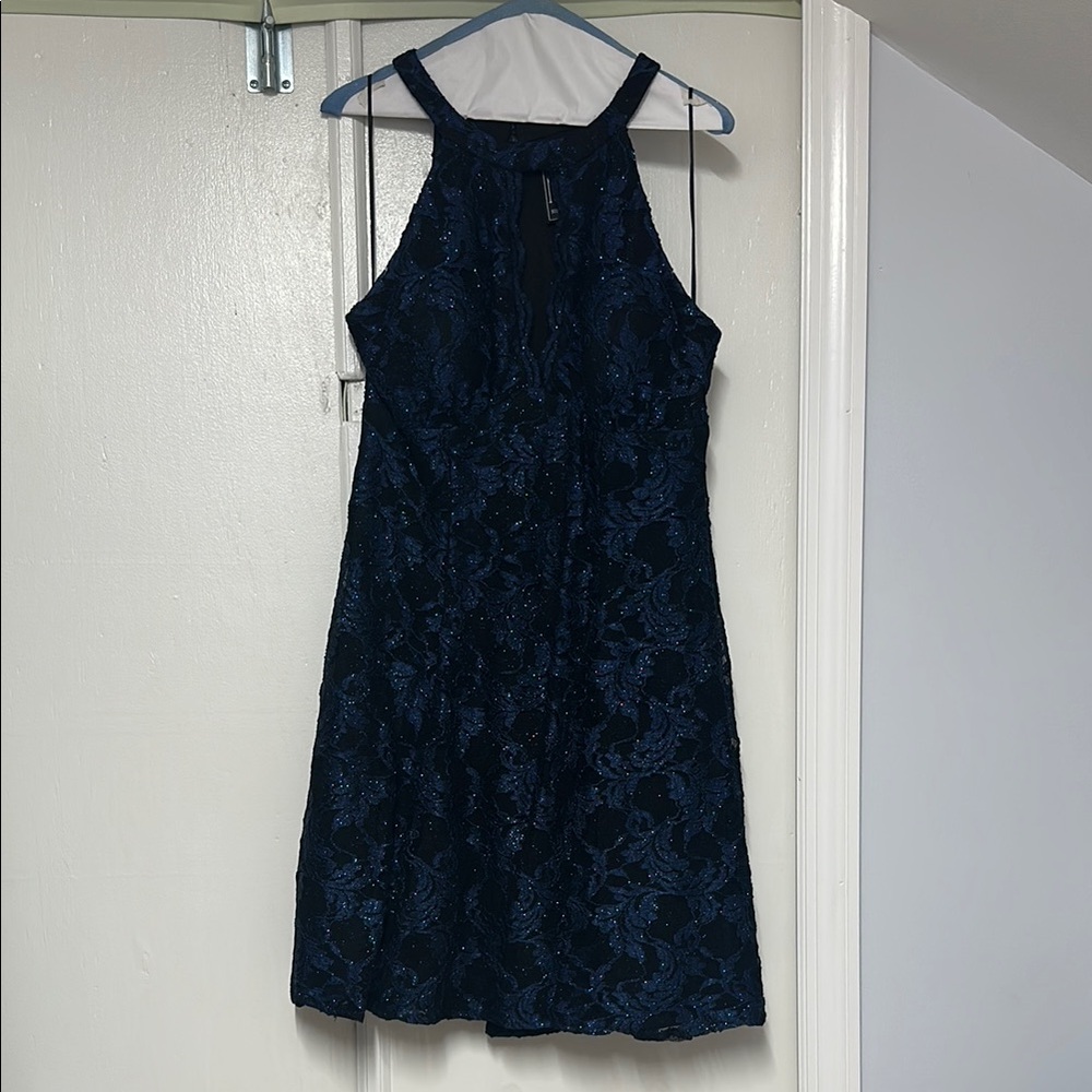 Elegant Black & Navy Blue Sparkle Lace Dress
